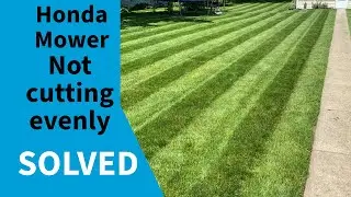SOLVED: Honda Push mower not cutting grass evenly