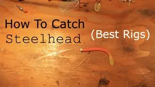 Every Rig I've Caught a Steelhead On!! (so far)