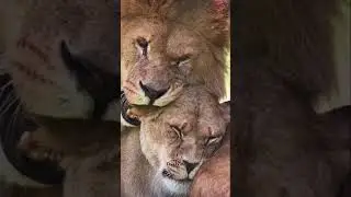 Любовь для нас благословение