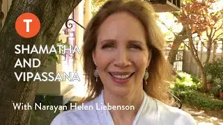 Shamatha and Vipassana — Narayan Helen Liebenson