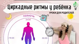 Раскрываю секрет, как помочь ребенку высыпаться: циркадные ритмы могут улучшить сон ребенка и режим.