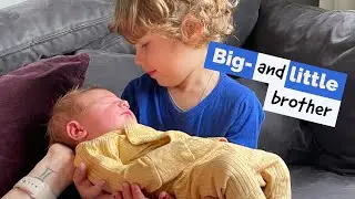 Leonardo meets Alexander for the first time