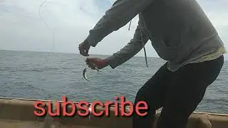 sensasi strike bertubi-tubi,mancing  ontak mantap