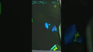 Perfect cut scream (Lethal company)