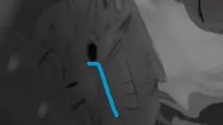 Ashfur killеd  pufferfish :