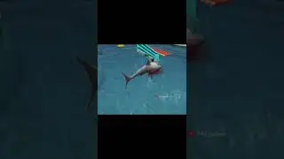 Shark attack on humans | Shark Rage Game