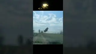 Саранча Василий как он попал к нам ч. 2  #семейныйканал #животные #жизньвдеревне