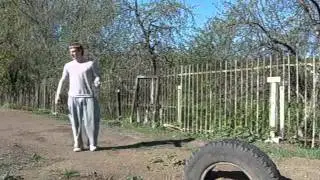 Аркадий Night Wolf Бобров