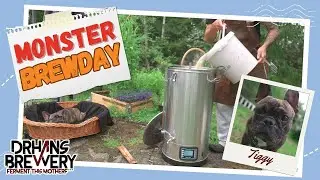 Brewing Beer Outdoors With The Dog!