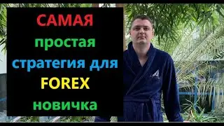 САМАЯ простая стратегия для 99% форекс новичков. Торговая система для трейдинга на Forex