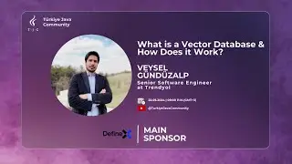 What is a Vector Database & How Does it Work