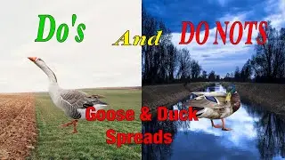 How To Set Up a Goose Spread!!