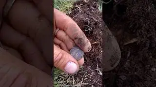 15 копеек серебро #коп#shortvideo #shortsvideo #youtubeshorts #nature #mountains