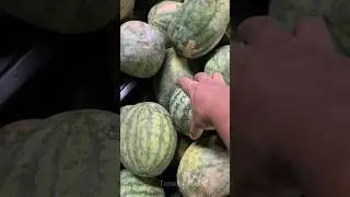 How to Pick a Good Quality Watermelon 