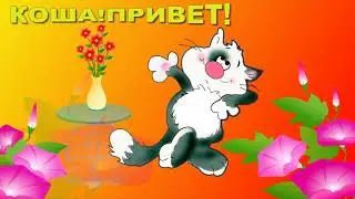 Коша!Привет! Футаж