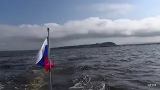 Залив 
