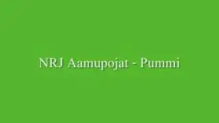 NRJ Aamupojat - Pummi