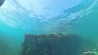 Подводный Симеиз 18.08.2024