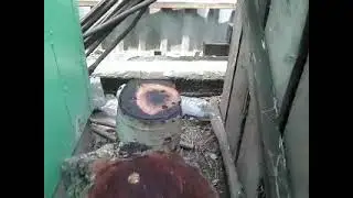 Вешанки на даче.