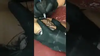 тату на ноге бабочка 🦋 