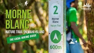 Morne Blanc Trail on Mahe Island | The Local HIking Guide | The Seychelles Islands