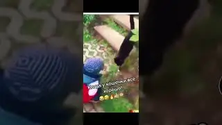 как у неё дела 🤣🤣