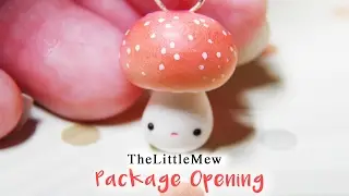 Package Opening from TheLittleMew ~ adorable polymer clay critter | TINYTREATZ