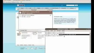 [ ProgramadorNovato.com ] Como instalar la última versión en español de Netbeans