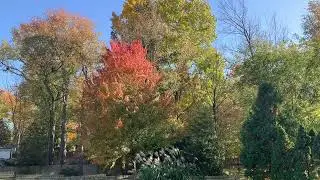 10 days of autumn 🍁