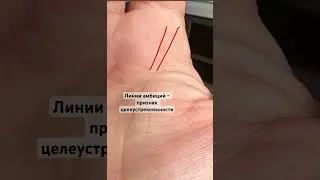 А ты амбициозная личность? Успех на ладони #хиромантия