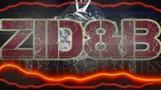 ZiDNB Starter (Первые пробы) 2019