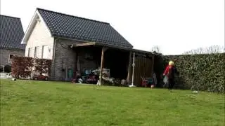 Jelle 37