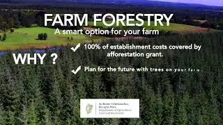 Farm Forestry - A smart option for your farm