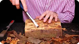 ASMR Bark Removal (No Talking)