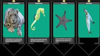 Animals That Start With S - Surprising Selection of Slithering and Soaring.