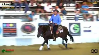 3 show ARAM 2018 - ALFONSETTI FABIO su HOUSES OF THE HOLY di GIOVANARDI G. GABRIELE con score 145,5
