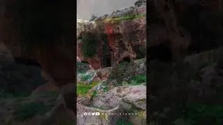 عن وادي الصنب