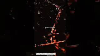 dandelions slowed and reverb audio edit #shorts