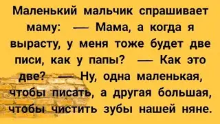 Мама, а когда я вырасту у меня тоже будет две писи... Смешные анекдоты от Хохмича