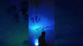 27 июля 2024 г.