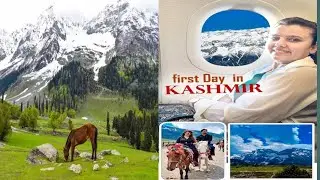 Kashmir Vlog!Viral Reels Location Kashmir!Best place to visit!Best Hotel near Dal lake!@FalakNaaz