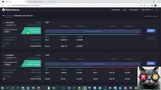 Setup BTC/EUR (Value € 1429,- ) trading pair BitUniverse 7-3-2021