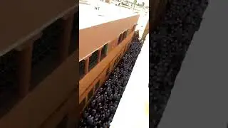 حملة الإنتخابات في المغرب- (التباعد-الإجراءات الإحترازية-وضع الكمامة🤔🤔)