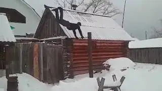 вся жизнь перед глазами прнеслась