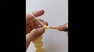 Шнур 