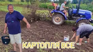 Докопали картоплю Останнє поле‼️ Ціни за Копання 🥔🥔. Копалка картоплі ще Діда