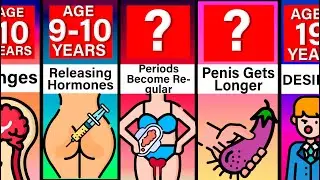 Comparison: Puberty