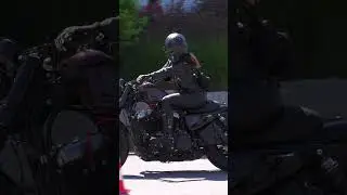 Harley-Davidson #motorcycle #harleydavidson  #bikelife  #harleygirl