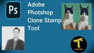 Photoshop Clone Stamp Tool