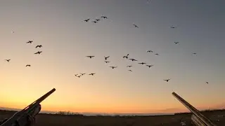 Unseen footage from 2023 (Canada, Oklahoma and New York)